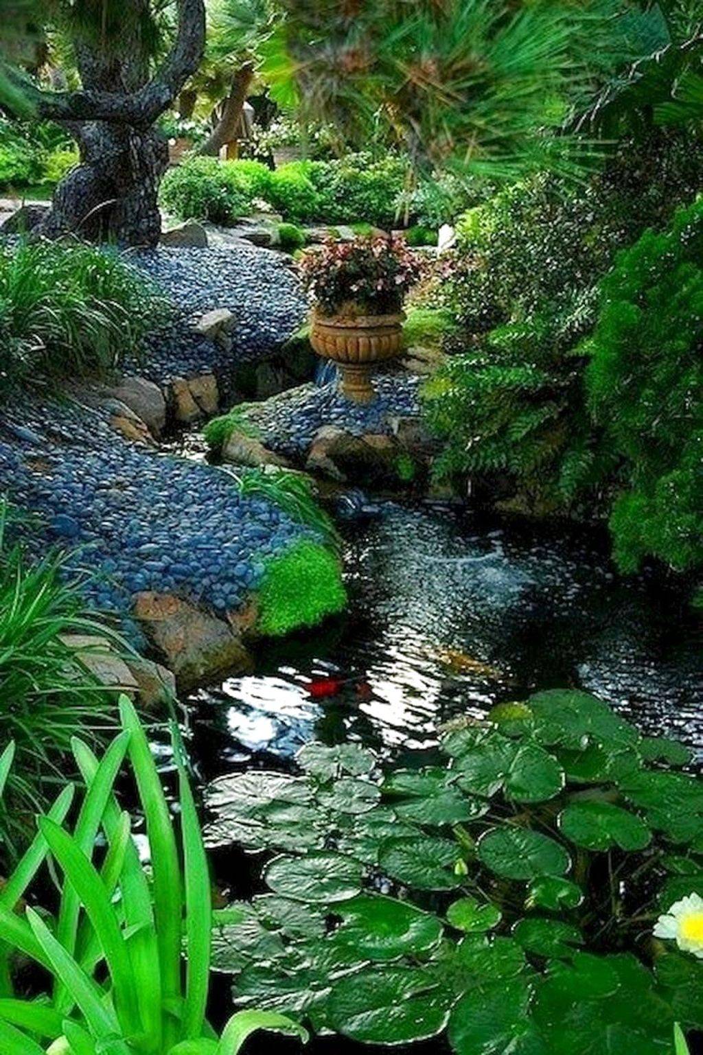 Beautiful Backyard Ponds