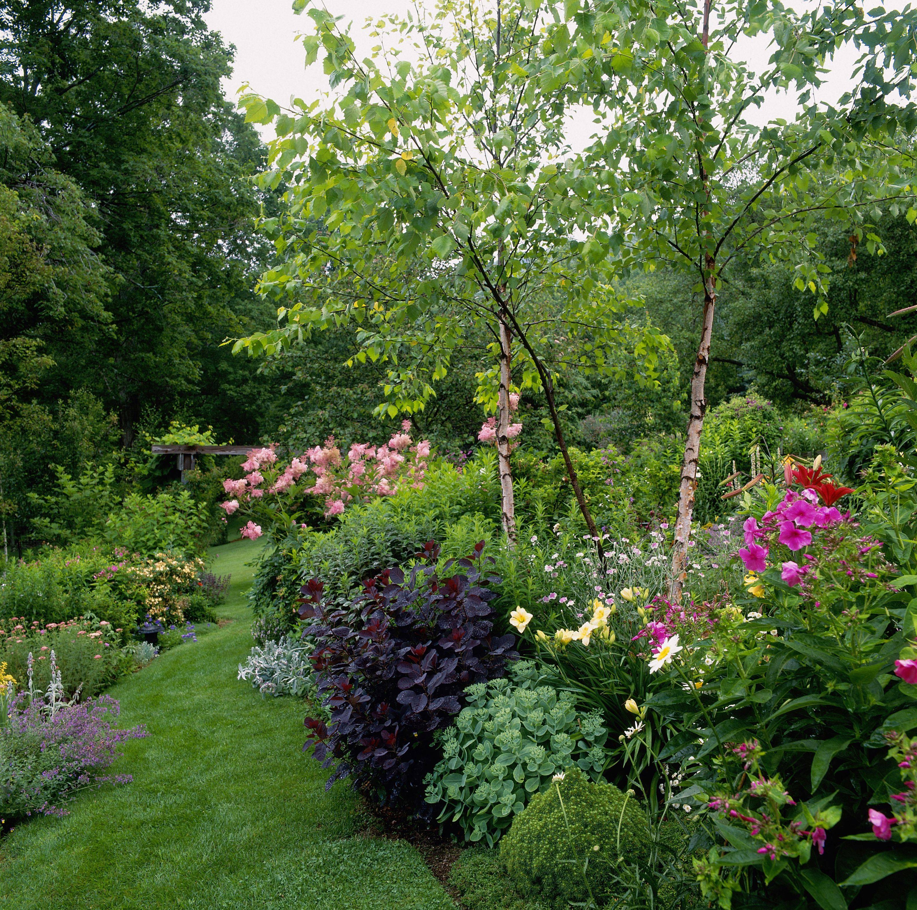 20 Garden Border Plant Ideas You Gonna Love Sharonsable 4148