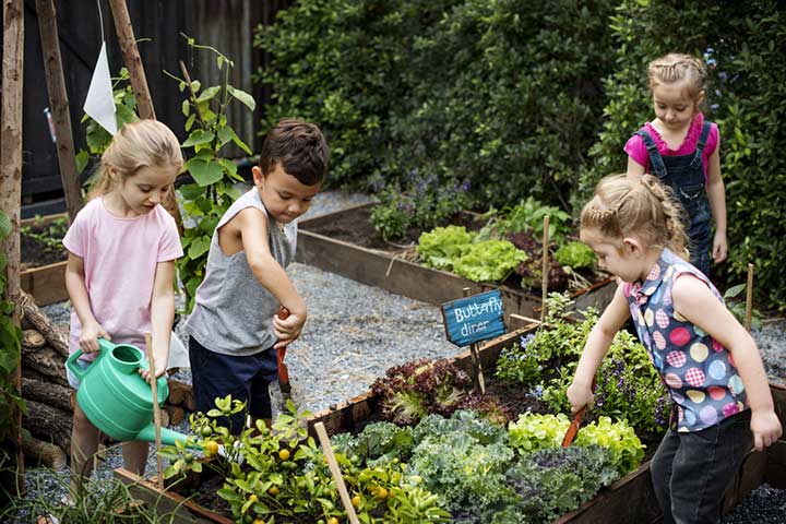 Childrens Gardens Gardening Know