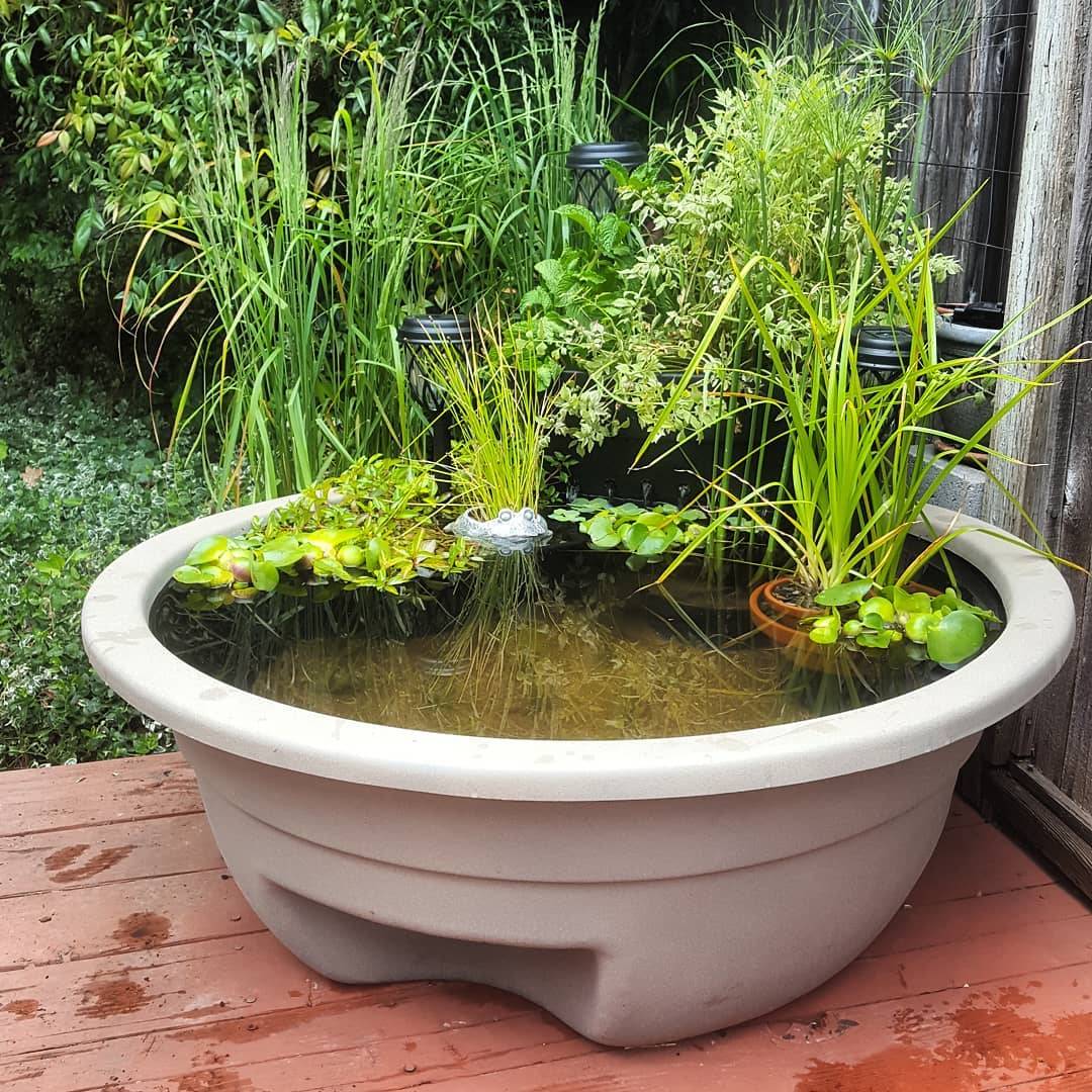 25 DIY Extra Small Garden Pond Ideas To Try This Year | SharonSable