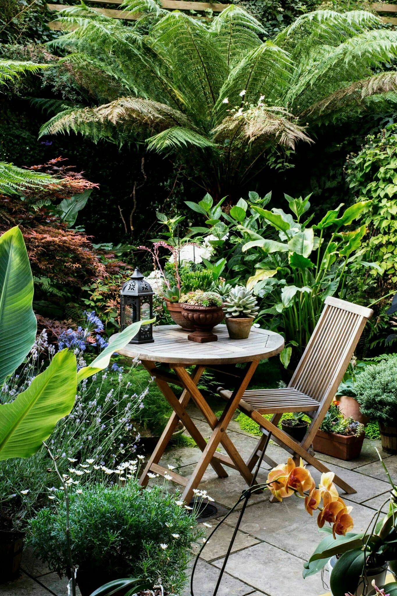 23-tropical-courtyard-garden-ideas-to-try-this-year-sharonsable