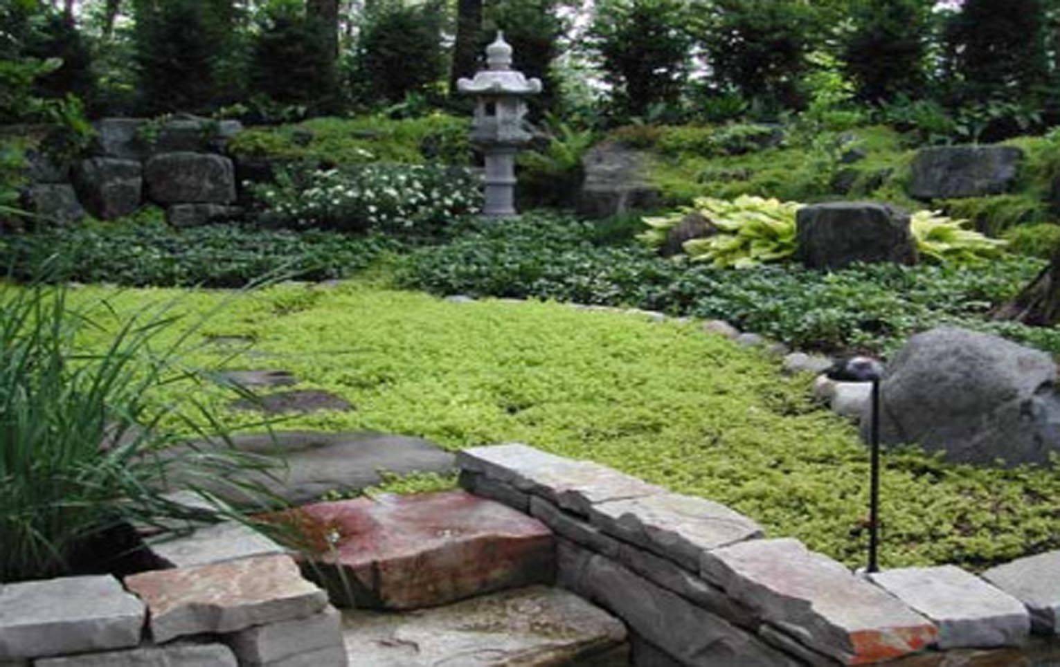 22 Japanese Succulent Garden Ideas To Try This Year | SharonSable