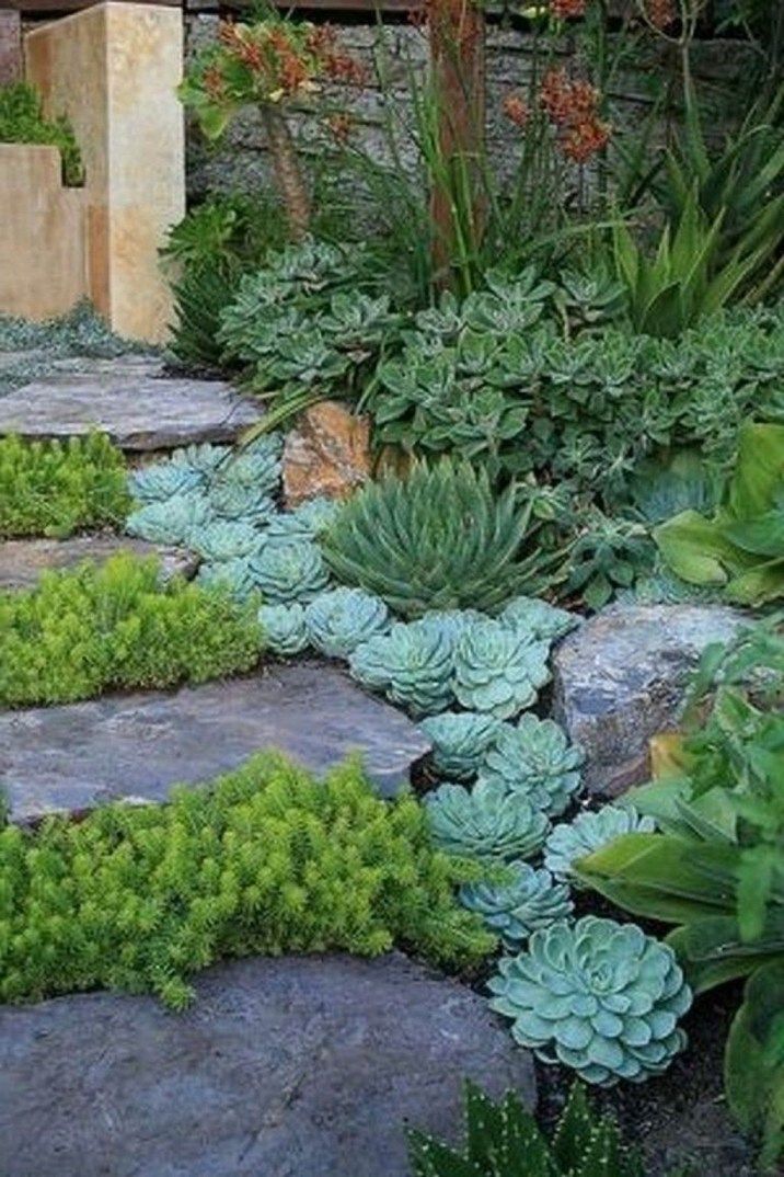 22 Japanese Succulent Garden Ideas To Try This Year | SharonSable