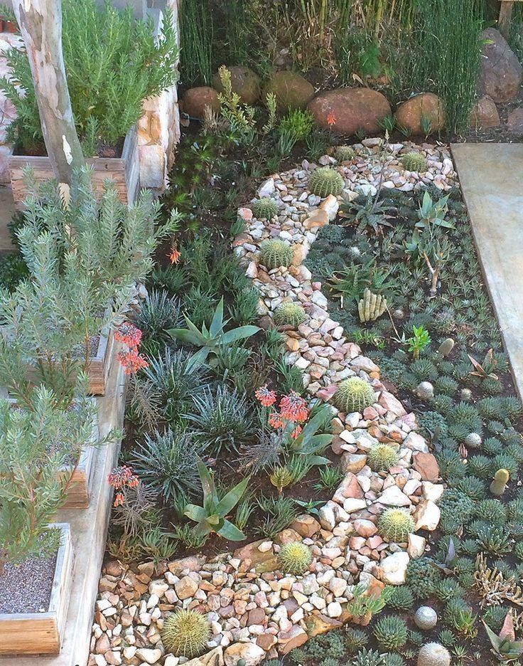 22 Japanese Succulent Garden Ideas To Try This Year | SharonSable