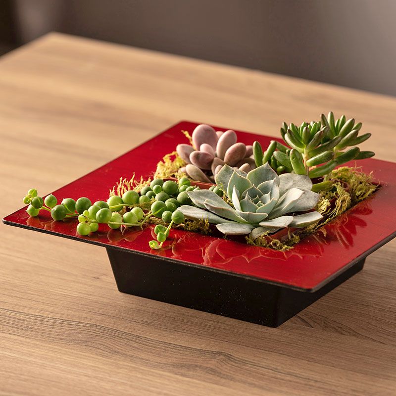 22 Japanese Succulent Garden Ideas To Try This Year | SharonSable