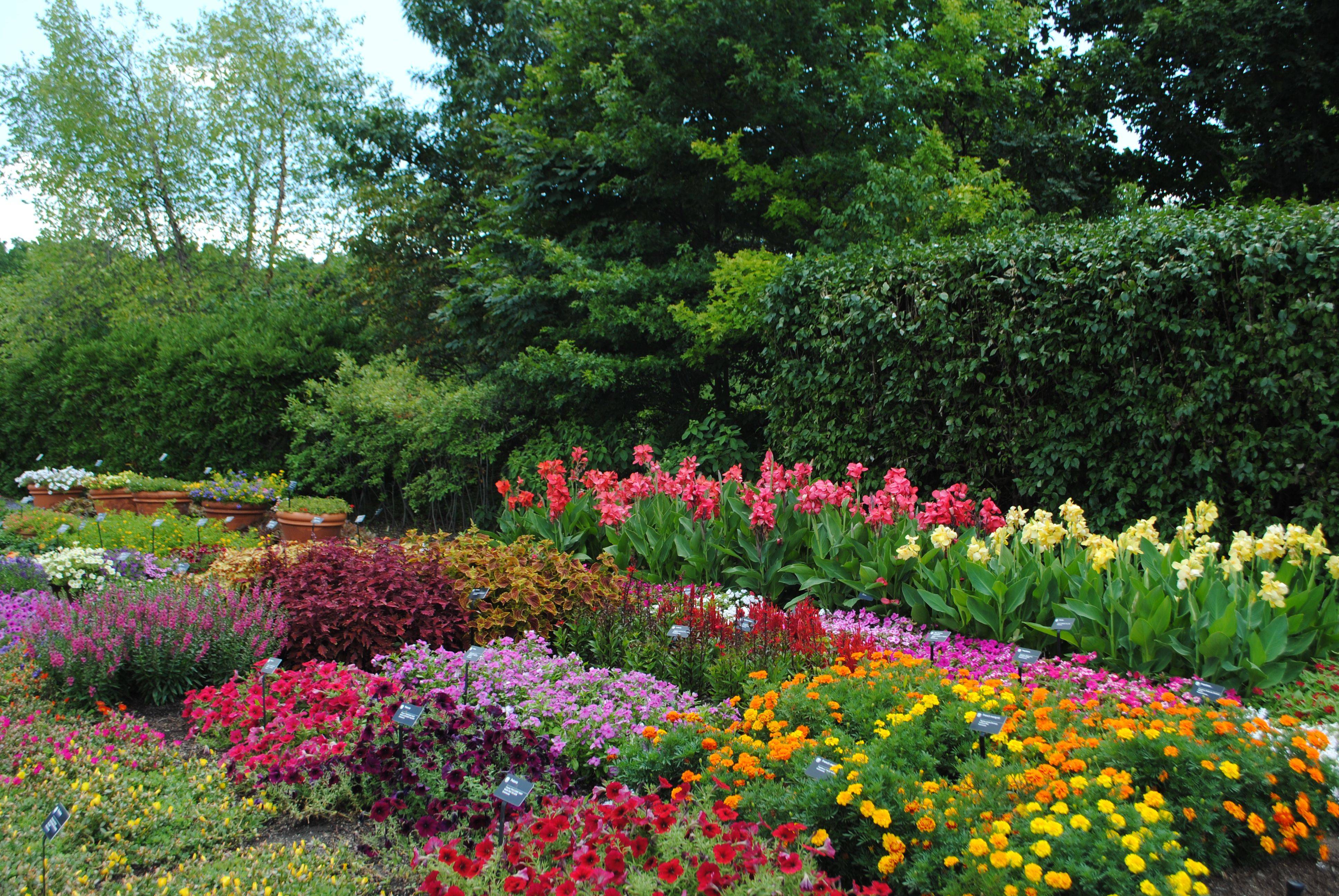 17 Missouri Botanical Garden Plant Finder Ideas You Cannot Miss ...