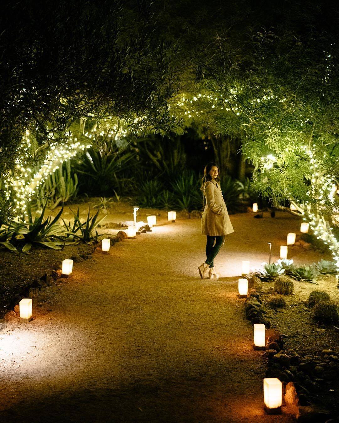 18 Luminarias Desert Botanical Garden Ideas You Must Look SharonSable