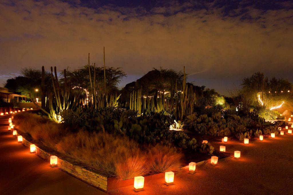 18 Luminarias Desert Botanical Garden Ideas You Must Look SharonSable