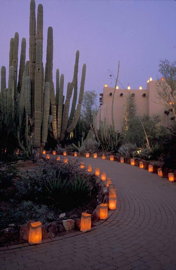 18 Luminarias Desert Botanical Garden Ideas You Must Look SharonSable