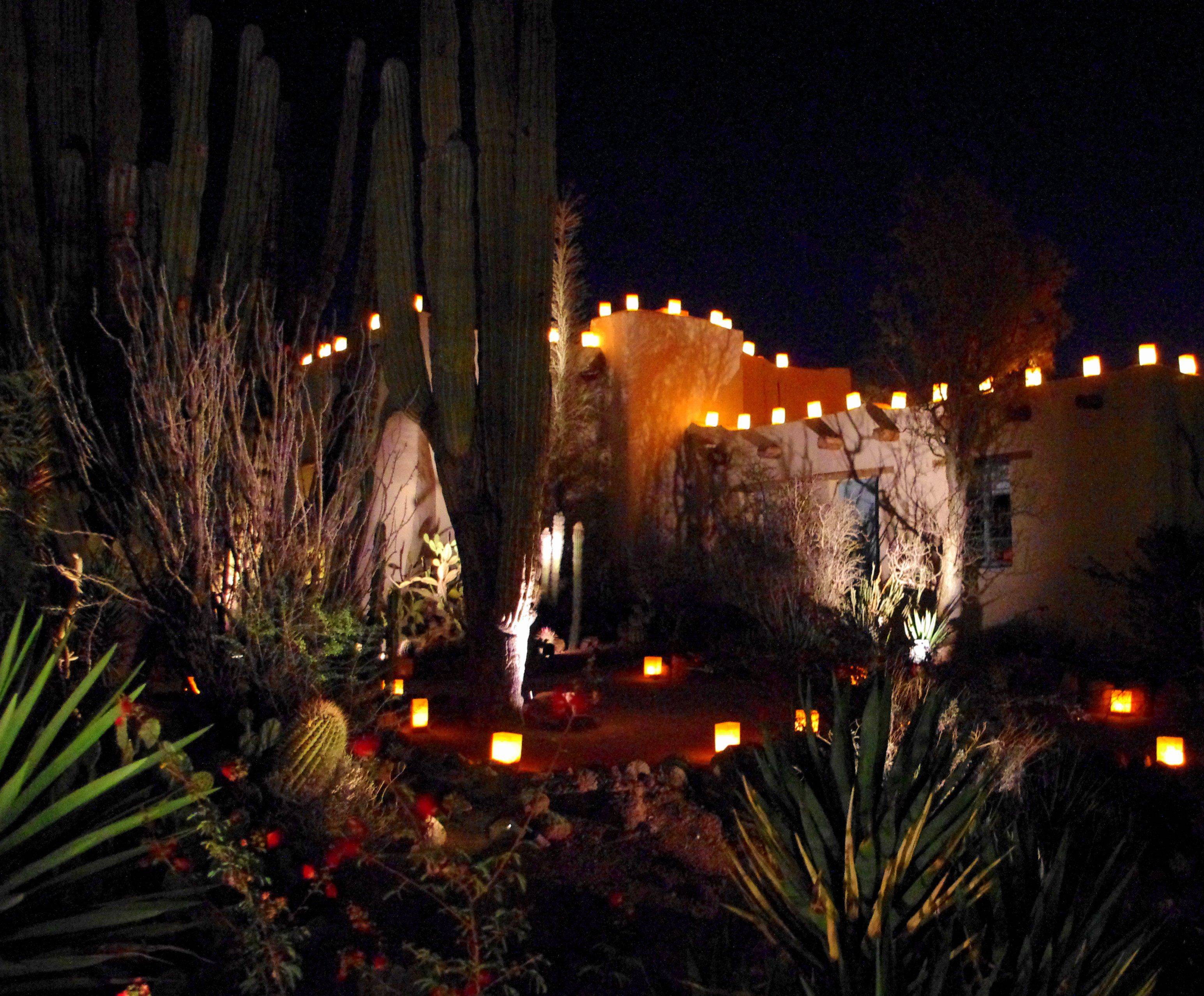 18 Luminarias Desert Botanical Garden Ideas You Must Look SharonSable