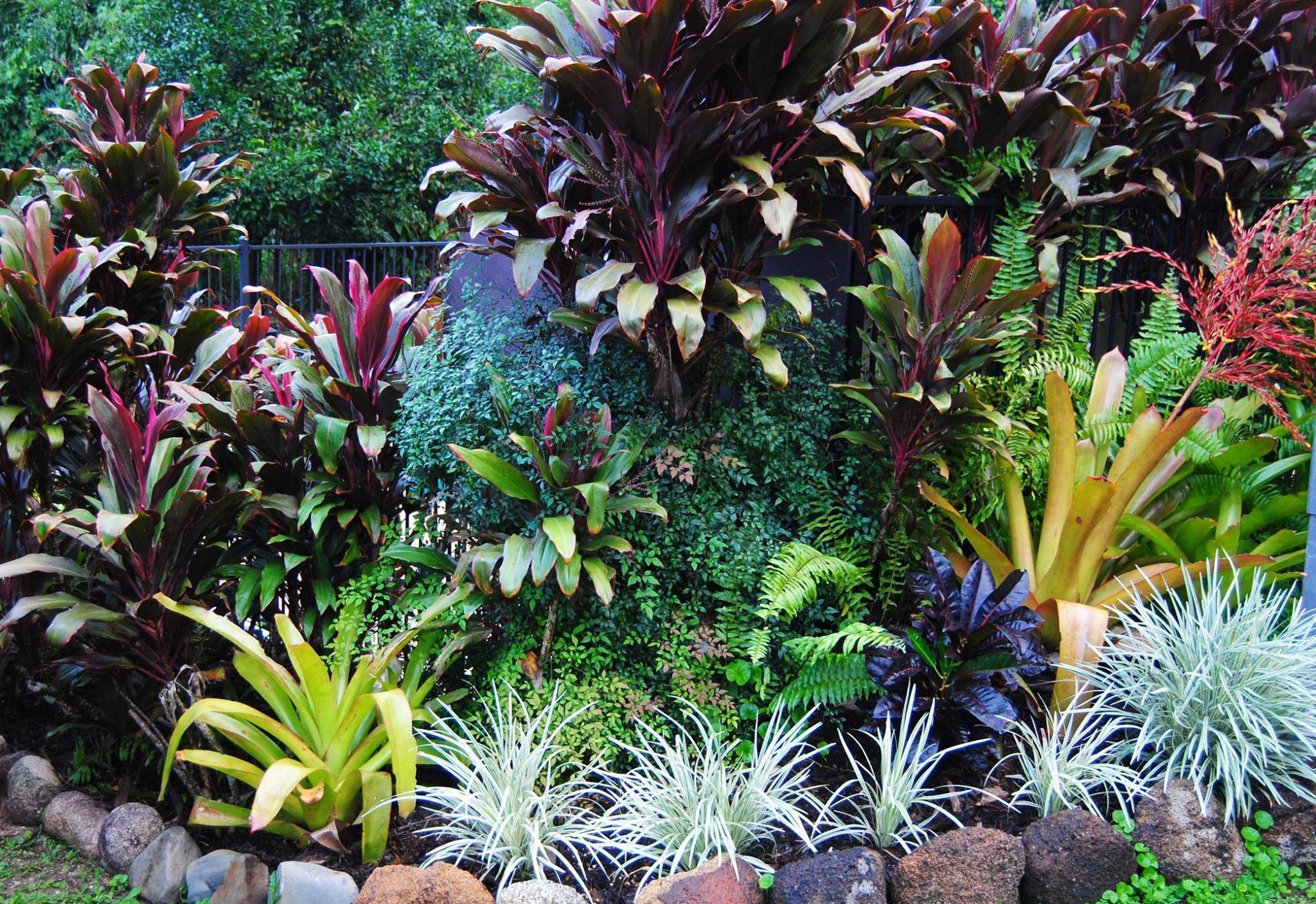 18 Tropical Garden Ideas Australia You Must Look | SharonSable