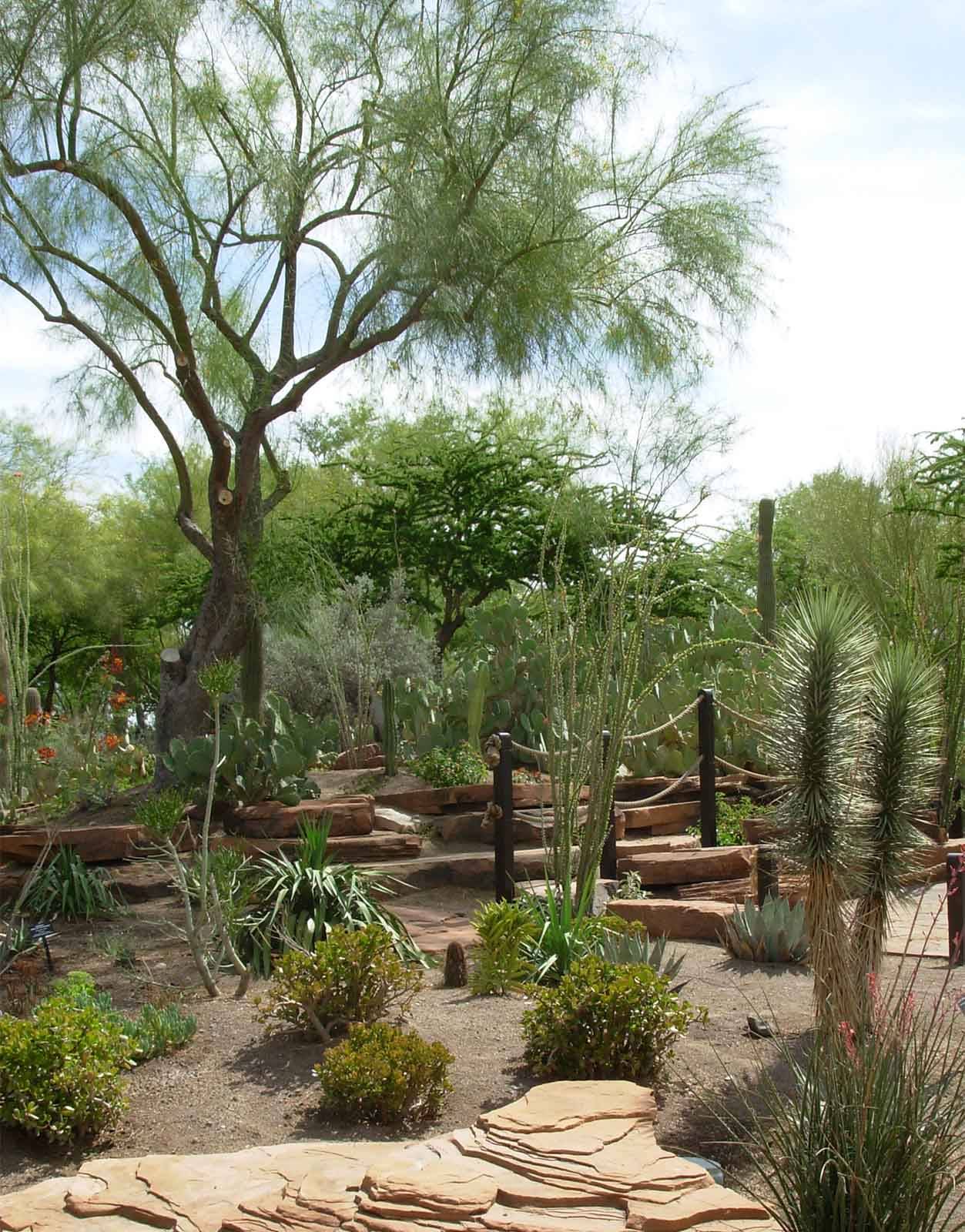 21 Ethel M Cactus Garden Ideas To Try This Year SharonSable