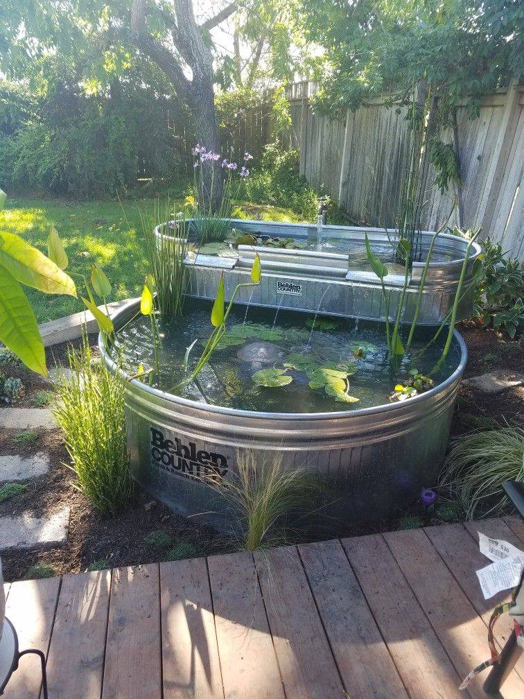 22 Water Trough Garden Ideas You Should Look | SharonSable