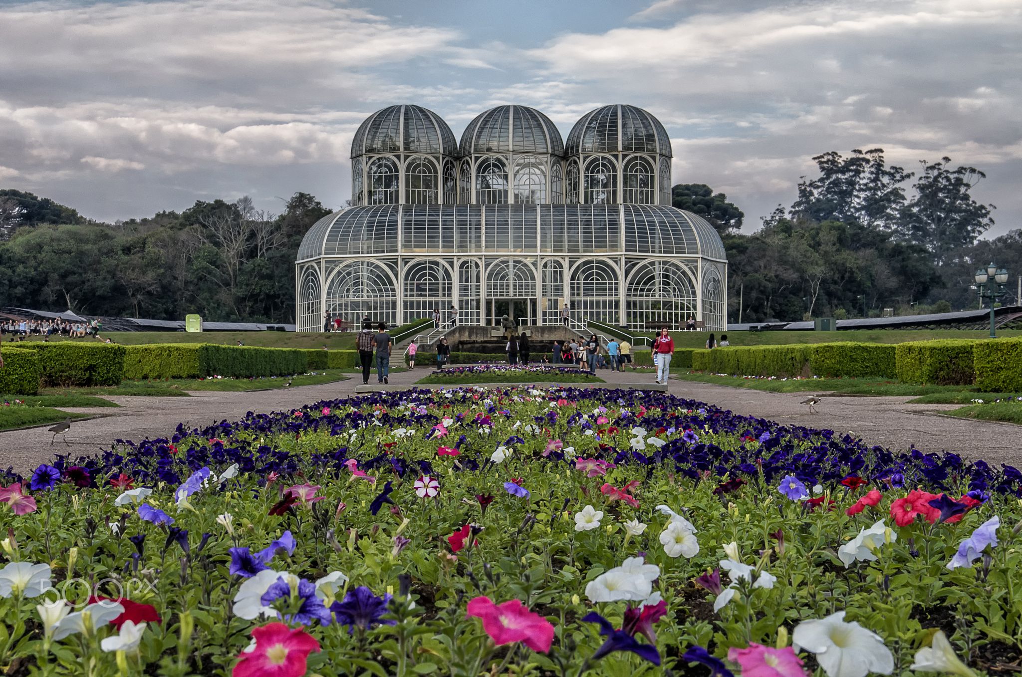 Discover The Enchanting Jardim Botânico De Lisboa: A Botanical Oasis In The Heart Of Portugal