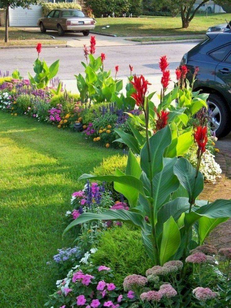 20 Lily Flower Garden Ideas You Cannot Miss SharonSable