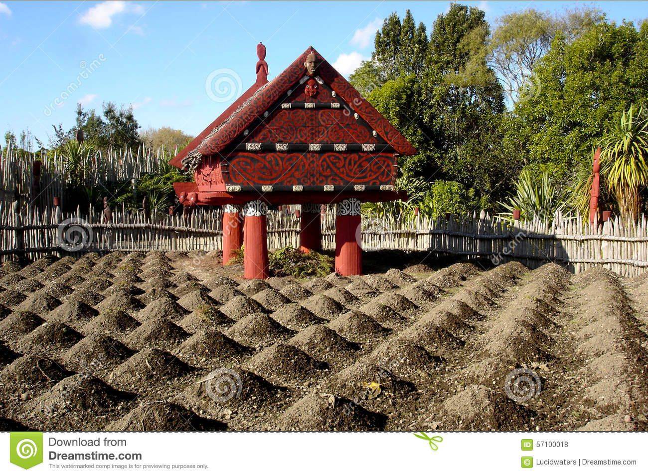 18 Maori Garden Ideas To Consider | SharonSable