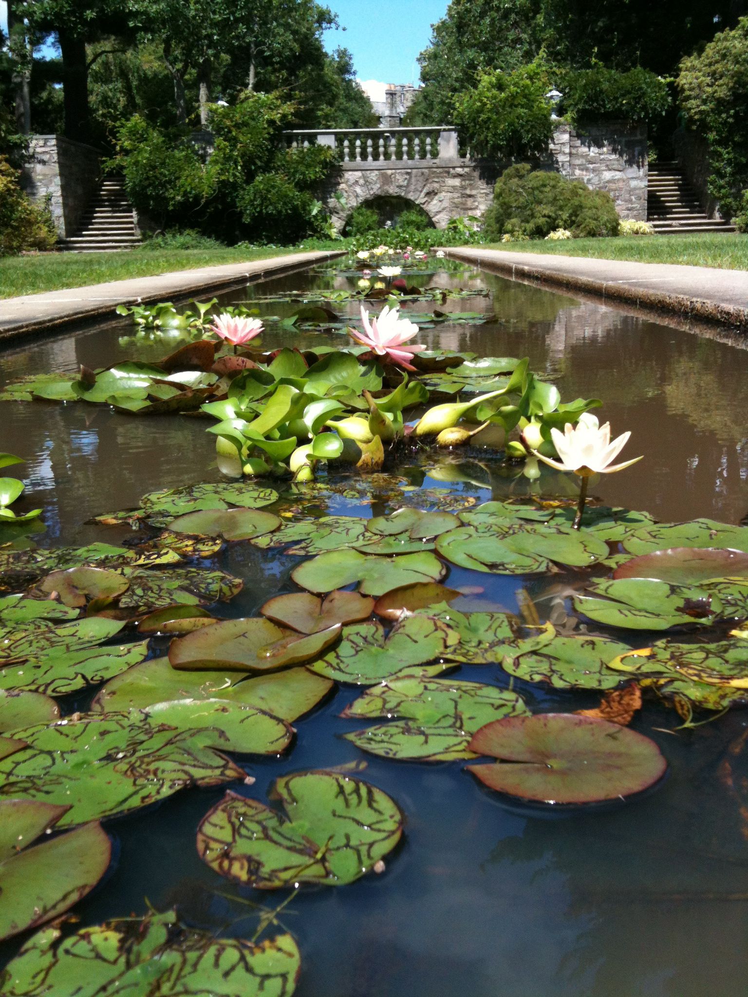 17 New Jersey Botanical Garden Ideas For This Year | SharonSable