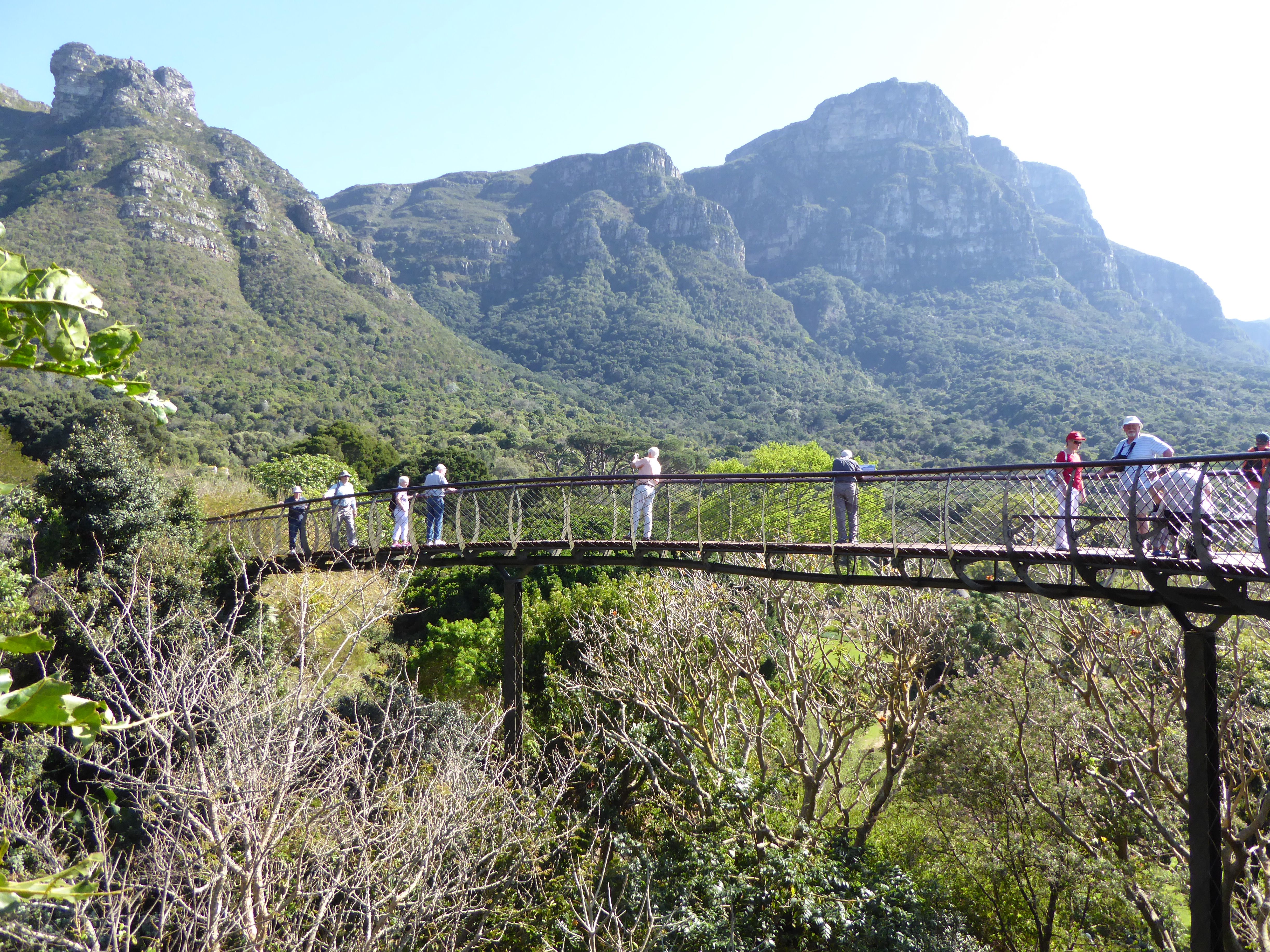 Kirstenbosch National Botanical Garden Cape Town South