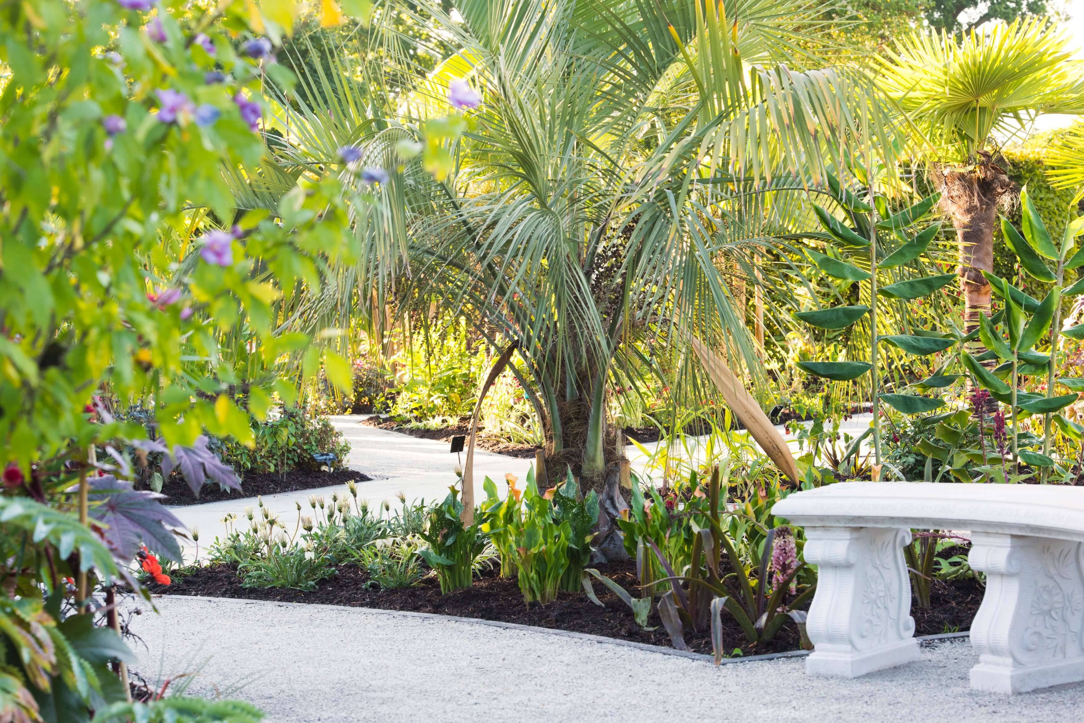 19 Tropical Flower Garden Design Ideas To Try This Year Sharonsable 0386