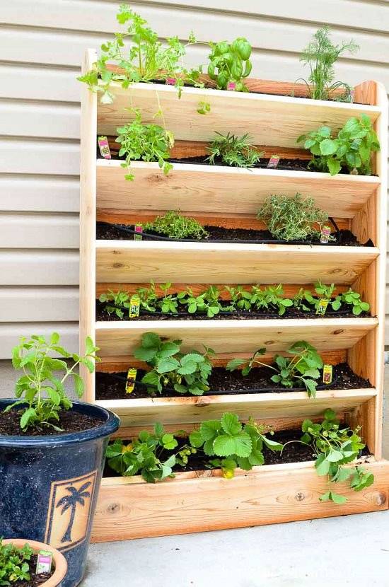 Genius Diy Vertical Gardening Ideas