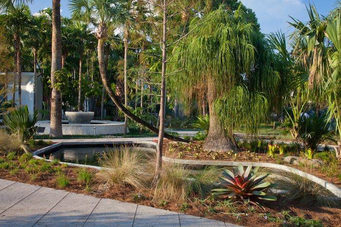 20 Miami Beach Botanical Garden Ideas You Should Look | SharonSable