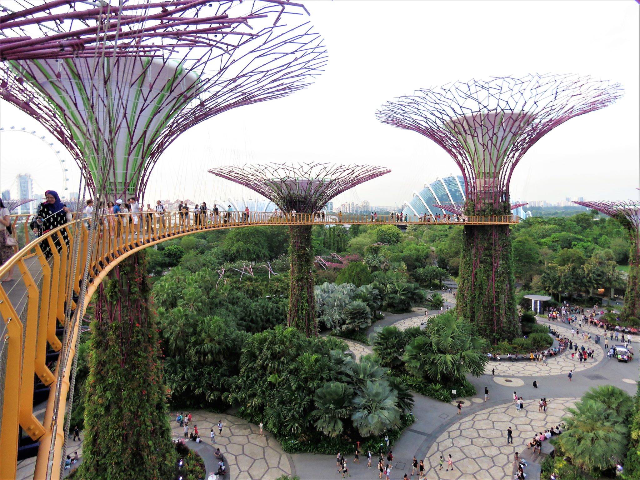 парк сад будущего ботанический сад
