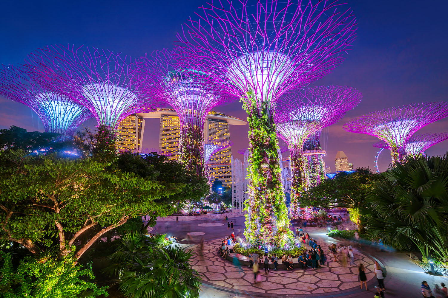 Singapores Gardens