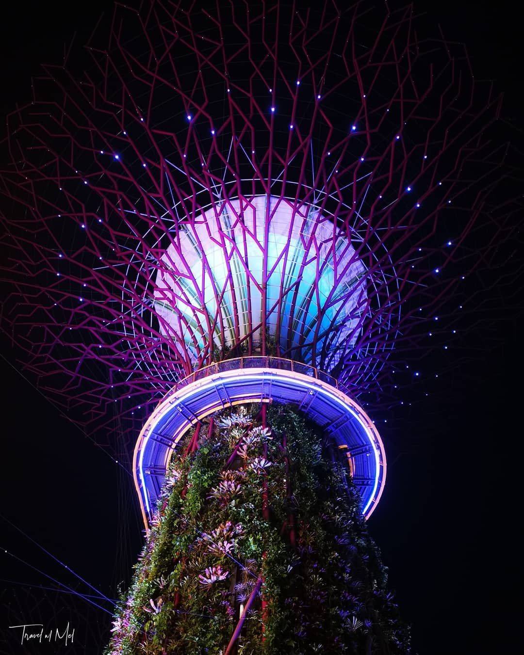 20 Supertrees Singapore Botanical Garden Ideas To Try This Year