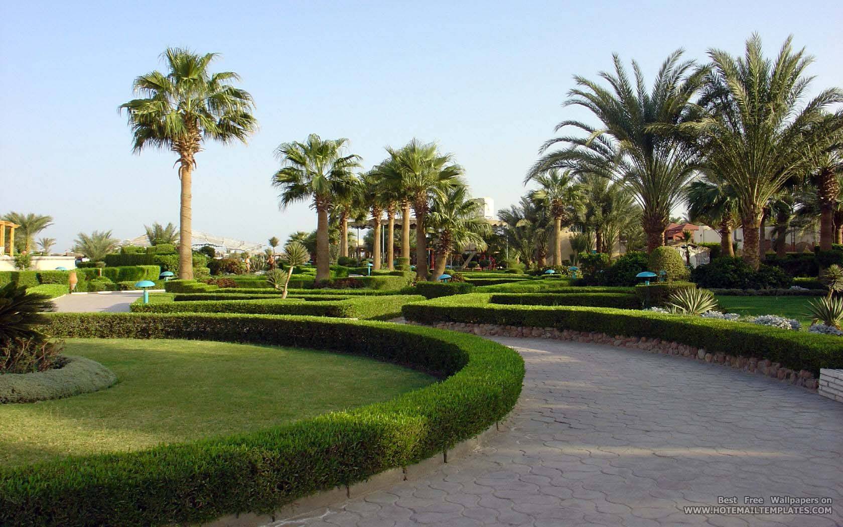 Middle Eastern Tropical Landscape Patio