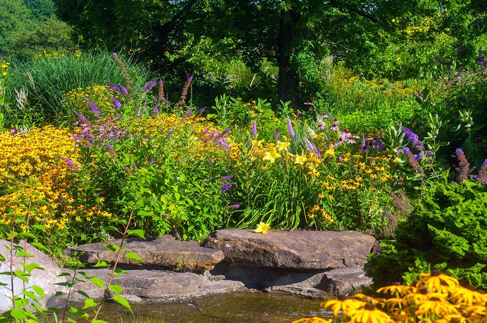 Colors That Attract Birds Birdfriendly Landscaping