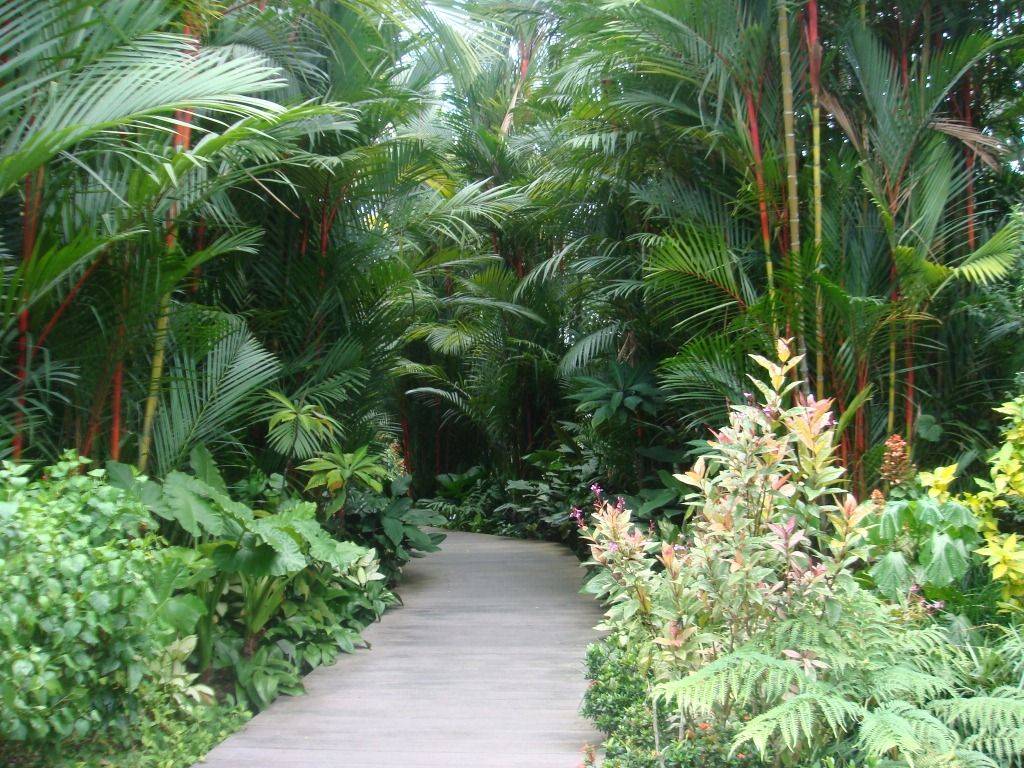 18 Bali Botanical Garden Ideas You Cannot Miss | SharonSable