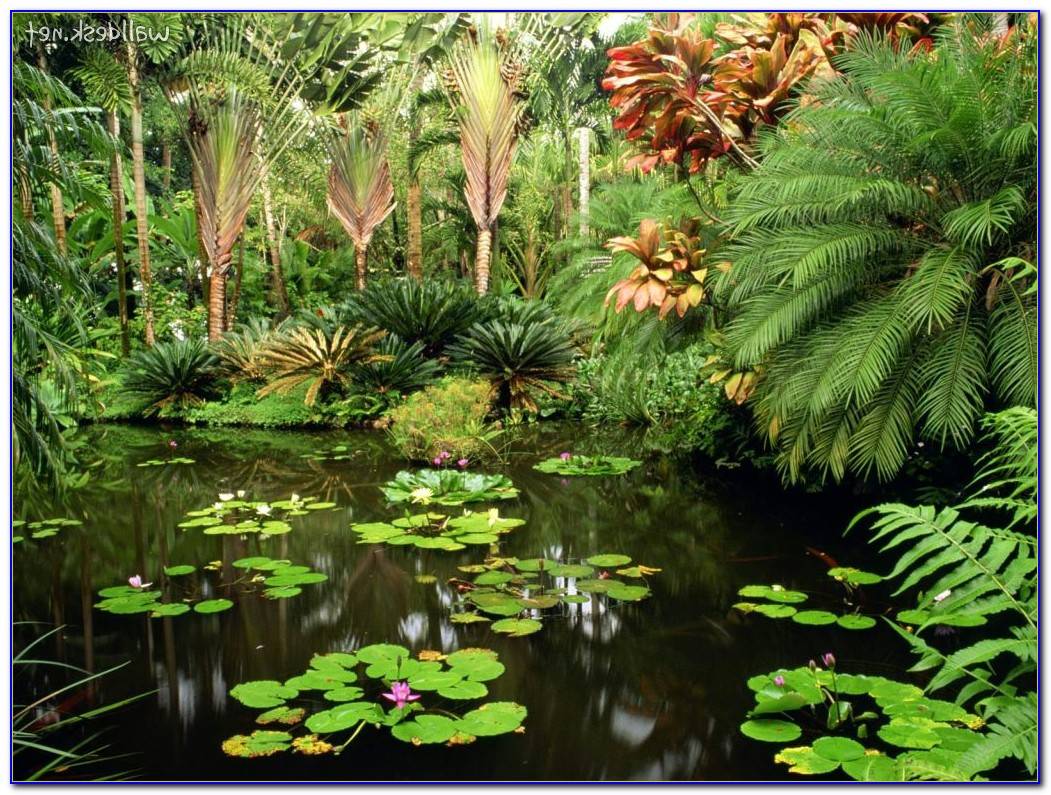 24 Botanical Garden in Hawaii Ideas You Must Look | SharonSable