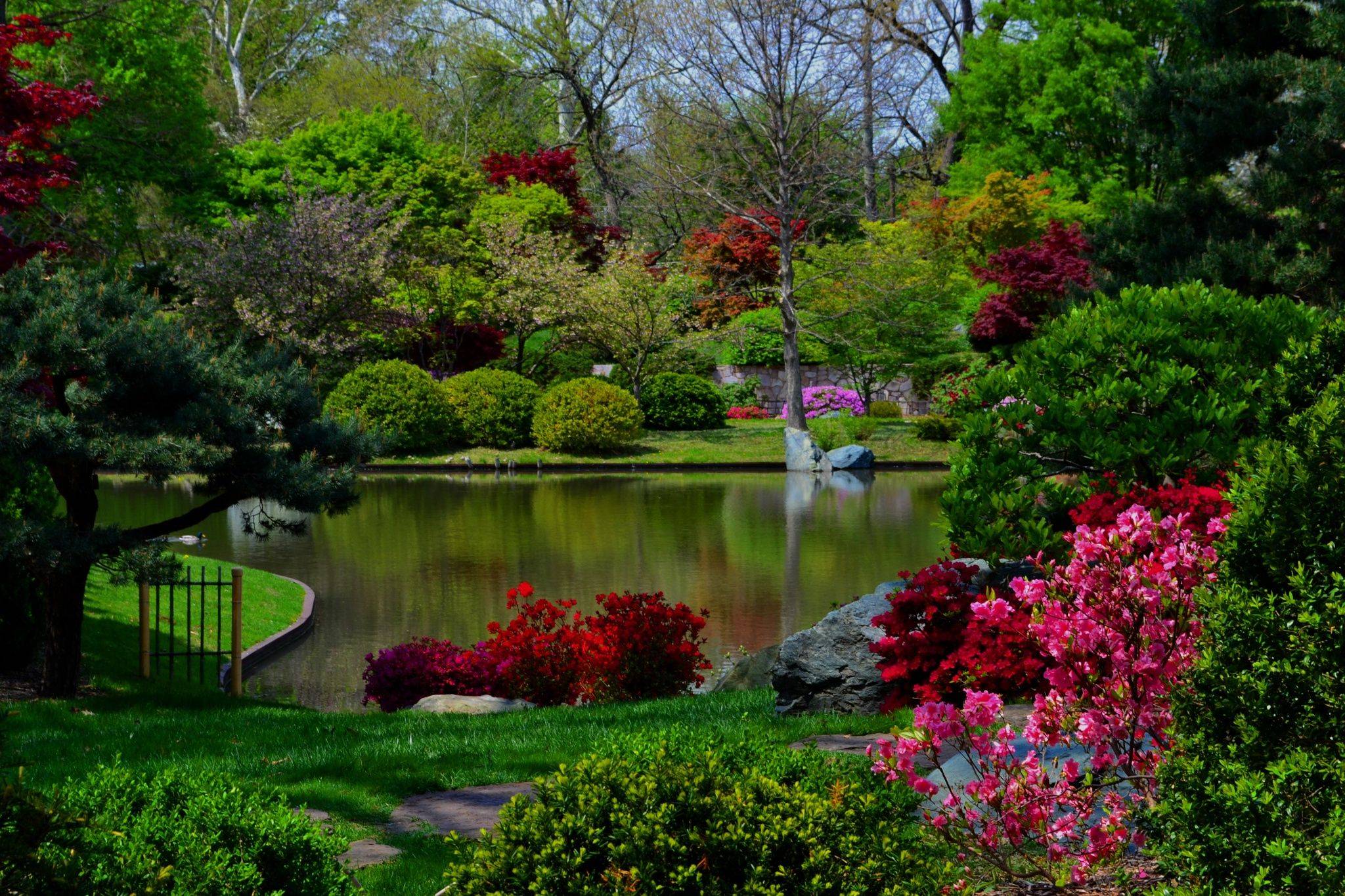 20 Botanical Garden in St. Louis Ideas To Try This Year | SharonSable