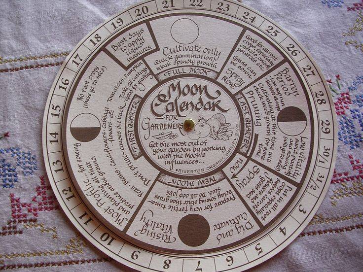 20 Moon Gardening Calendar Ideas To Try This Year SharonSable