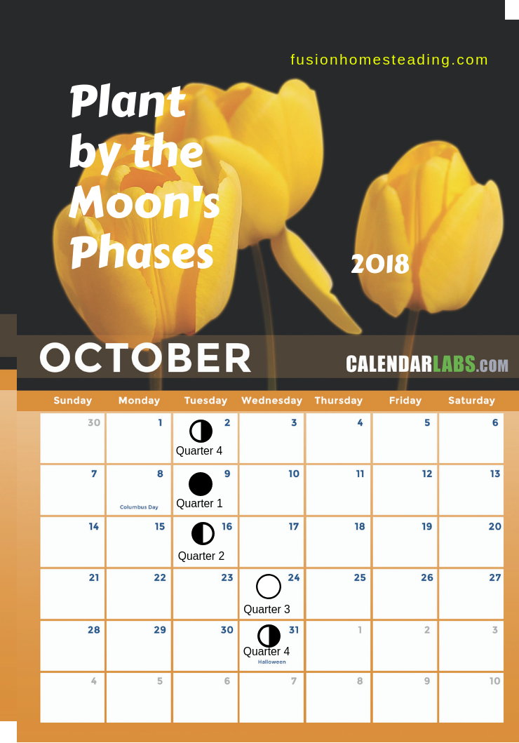 20 Moon Gardening Calendar Ideas To Try This Year SharonSable