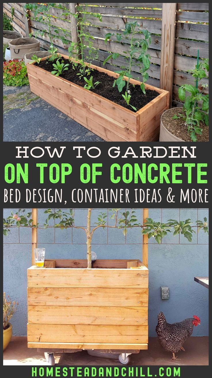 A Selfwatering Raised Bed