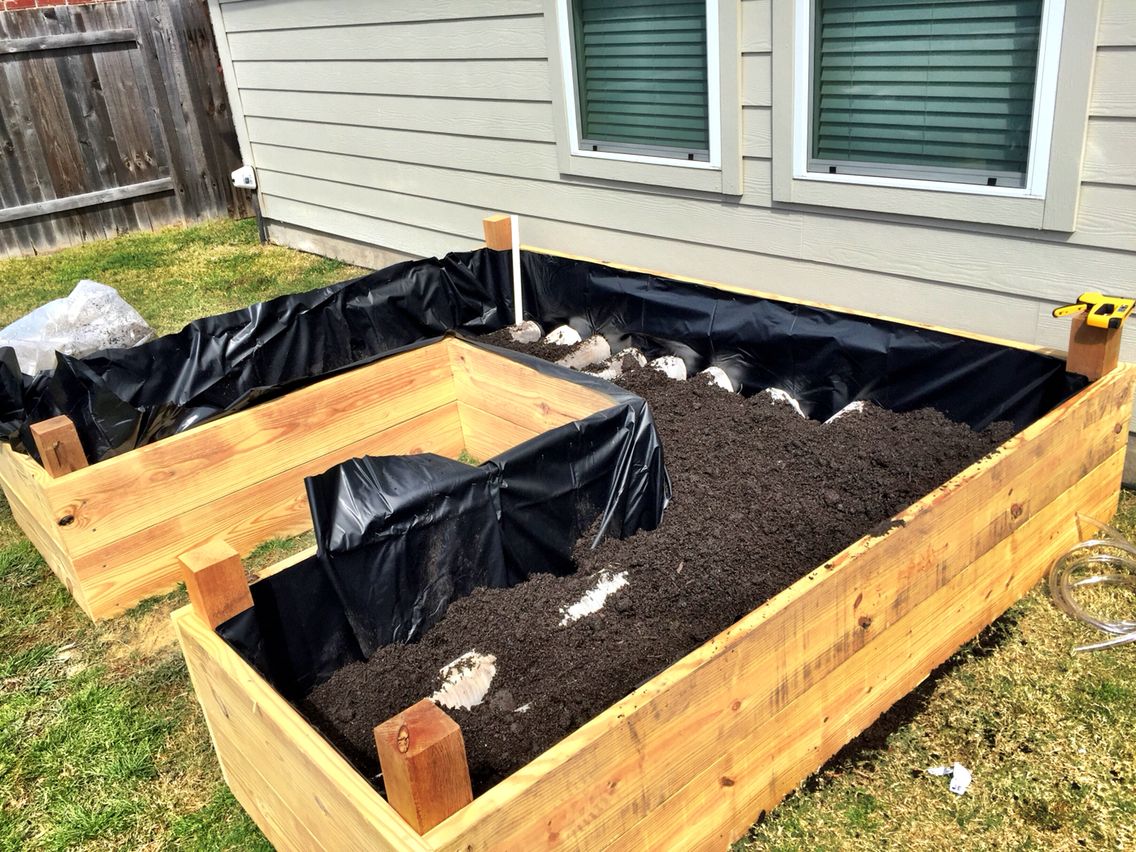 Raised Garden Beds