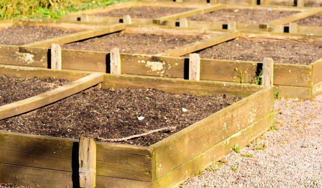 Flower Bedvegetable Garden