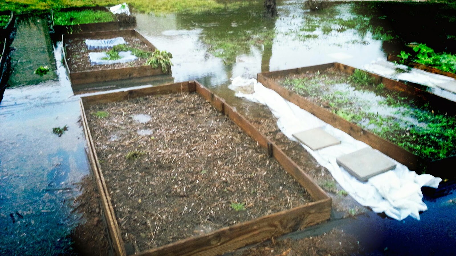 Raised Bed Drainage