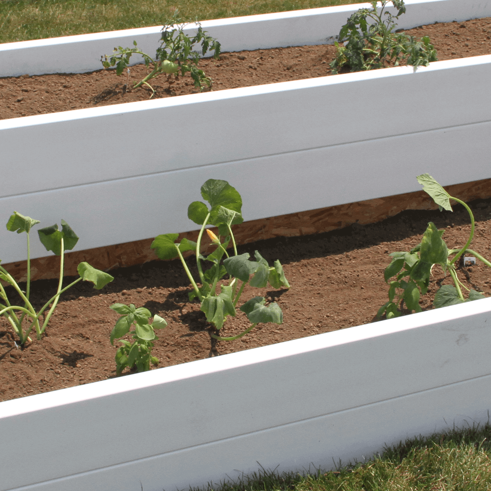 Raised Garden Beds