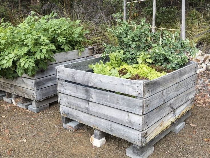 This Garden Bed