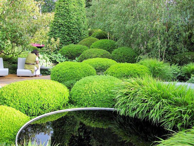 The Rhs Chelsea Flower Show