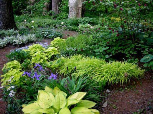 Shade Landscaping Ideas Zone Landscaping Ideas Astounding Front Yard