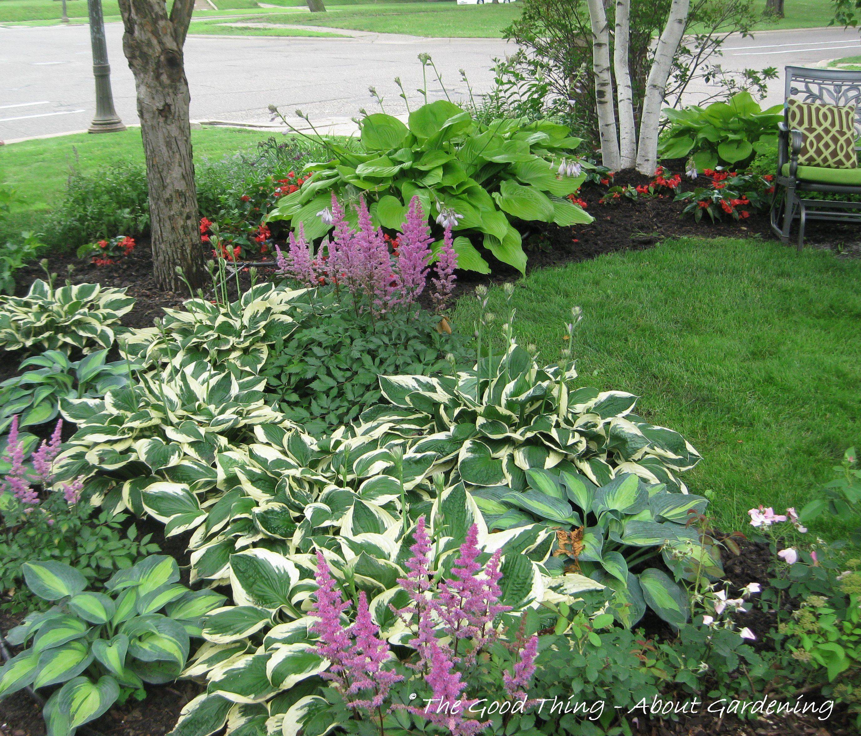 24 Astilbe and Hosta Garden Ideas You Should Check SharonSable