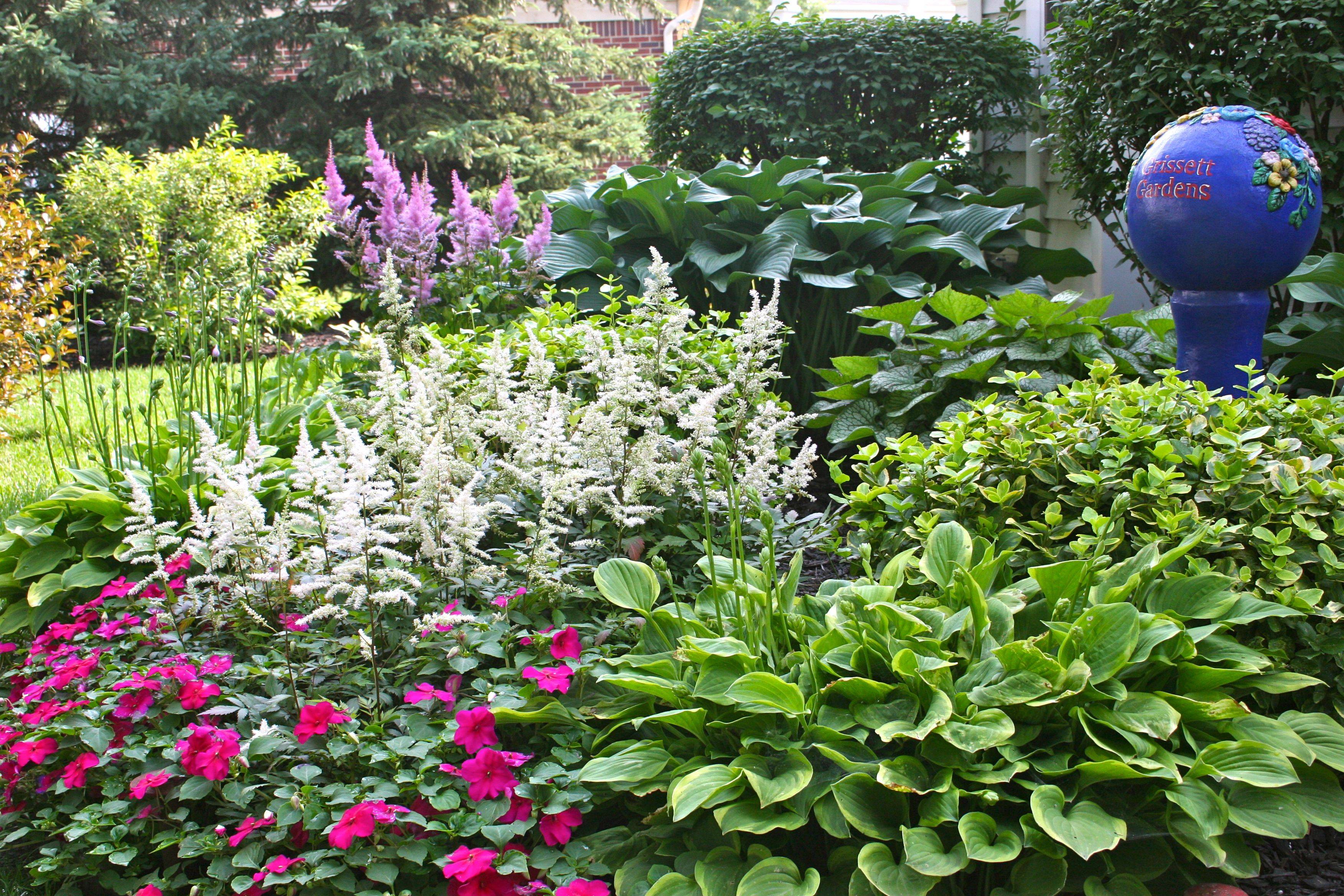 24 Astilbe and Hosta Garden Ideas You Should Check SharonSable