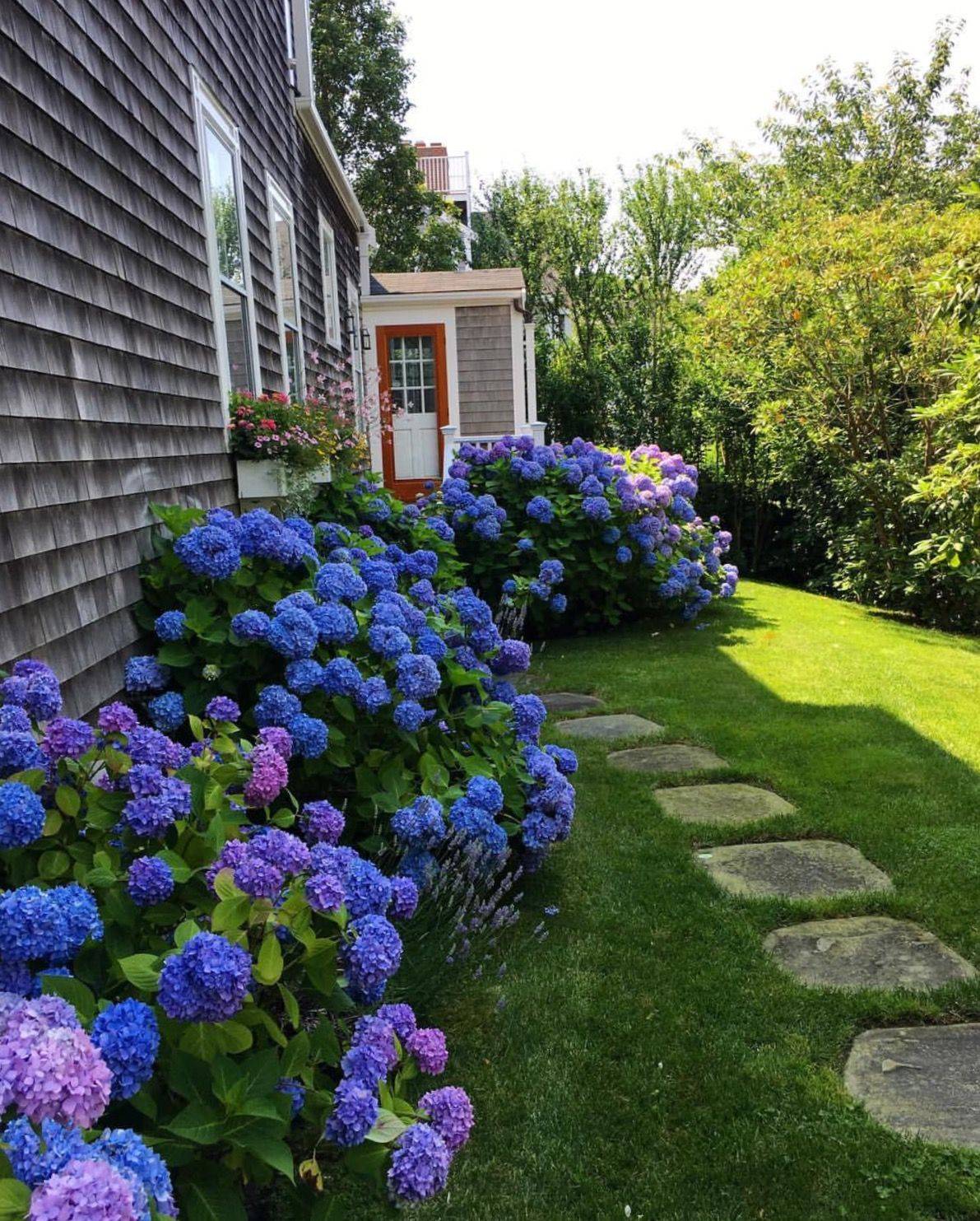 18 Hydrangea Garden Path Ideas You Must Look | SharonSable