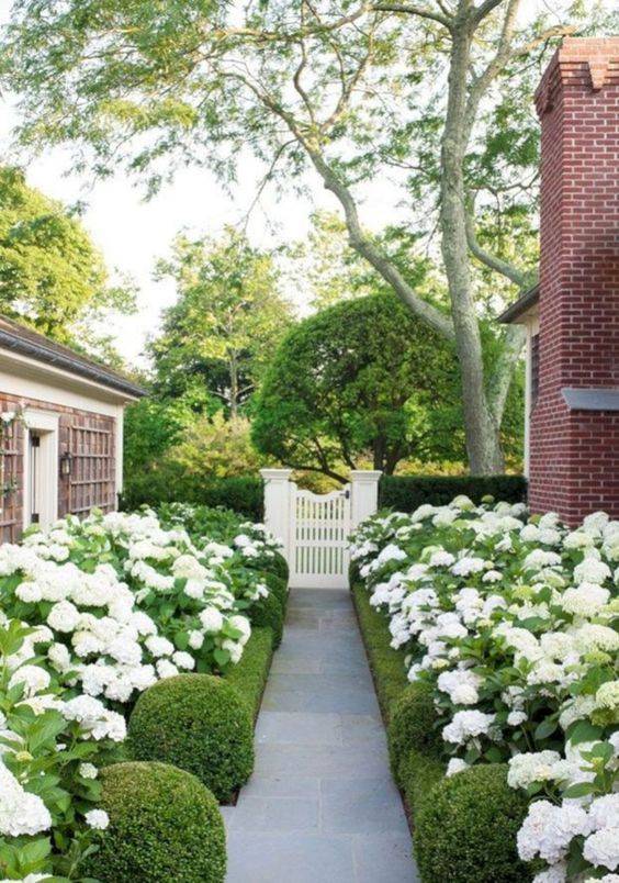 Beautiful Green And White Garden Ideas