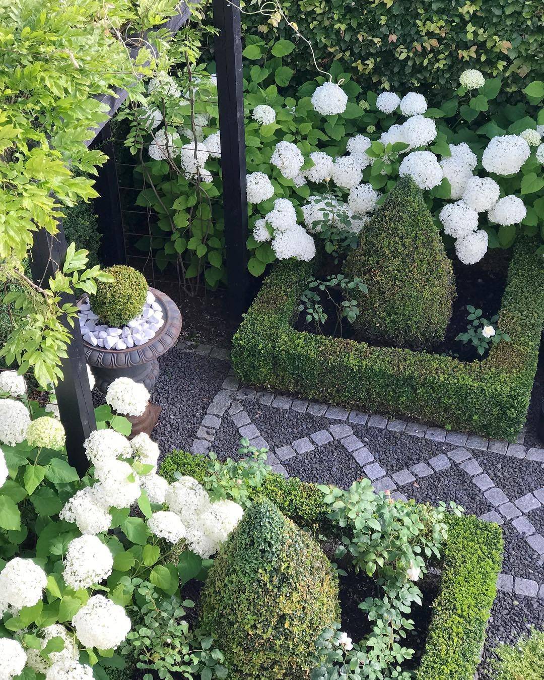 Beautiful Green And White Garden Ideas