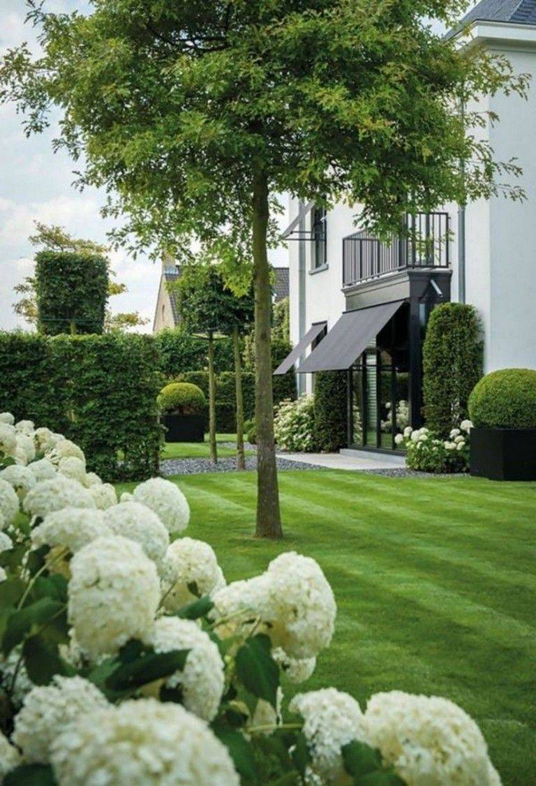 Green And White Garden Ideas