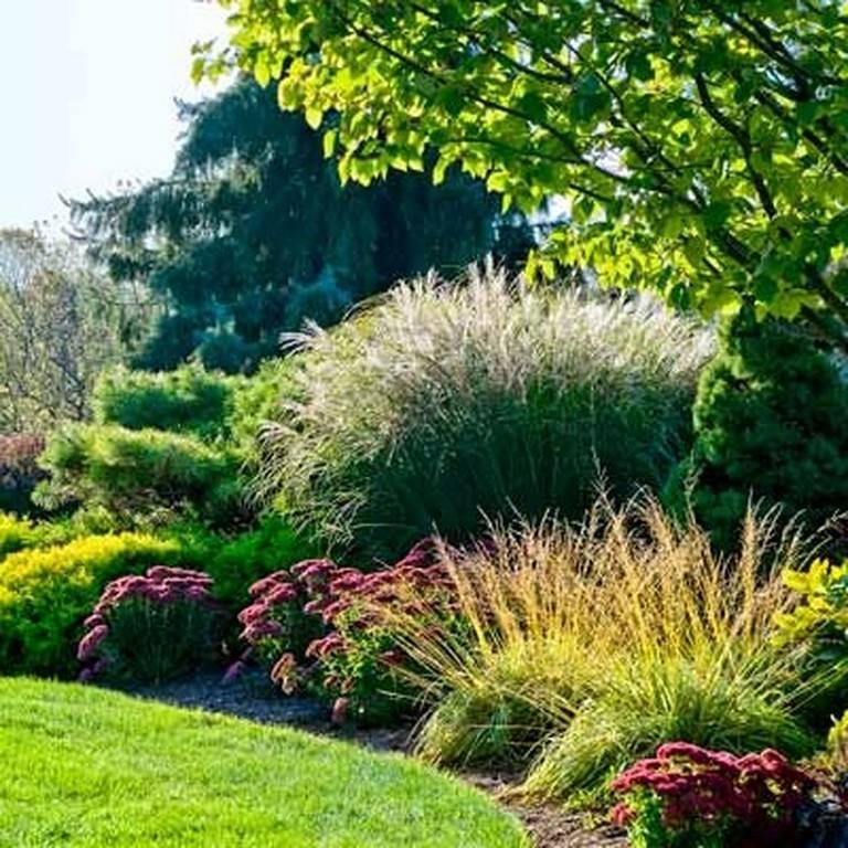 23 Ornamental Grass Garden Ideas You Gonna Love | SharonSable